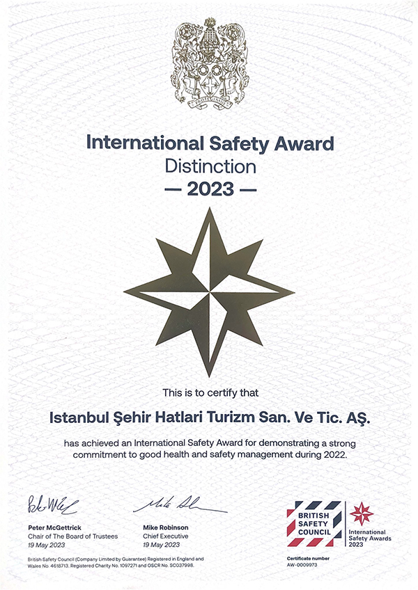 International Safety Award